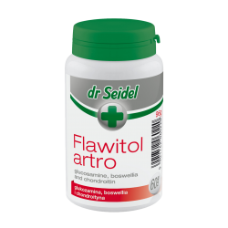 FLAWITOL ARTRO 60TBL.